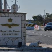 A dog sits at the main gate of the U.K.’s RAF Akrotiri air base after it was hit by a drone strike early morning near Limassol, Cyprus on Monday (March 2)