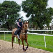 Chloe Dods riding Northern Express in Bahrain before the conflict began