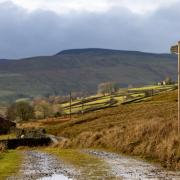 Low Route Swale