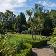 'A beautiful garden with a variety of flora ranging from the exotic to domestic'