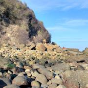 Hayburn Wyke the stony bay