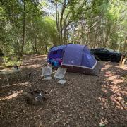 A pitched tent at Brockwell Woods