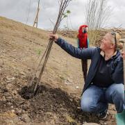 Thousands of Trees Planted as Kynren Creates 150 Acres of New Wildlife Habitat