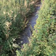 Pollution in Bawter Carr Drain. Hand-in pic.