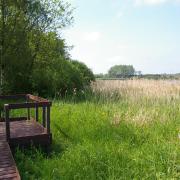 Northumberland Wildlife Trust has condemned “mindless vandalism” after intruders armed with tools badly damaged a bird hide at its Big Waters nature reserve near Brunswick Village