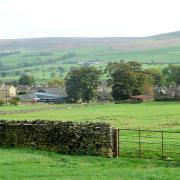 Carlton Village