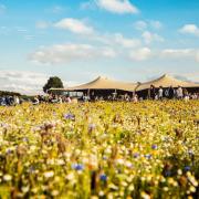 The Flower Belt in Harrogate