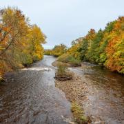 The River Wear near Witton-le-Wear