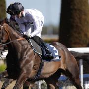 Constitution Hill could be heading to Italy (Steven Paston/PA)