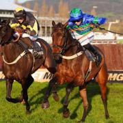 David’s Well winning at Cheltenham (David Davies/PA)