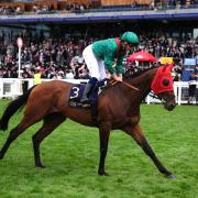 Daryz and Mickael Barzalona (John Walton/PA)