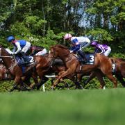 Racing at Cork was called off (Steven Paston/PA)