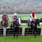 Alexei, right, will start his campaign at Newcastle with the Champion hurdle in mind (David Davies/PA)