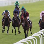 Maltese Cross enhanced his reputation at York last time (Richard Sellers/PA)