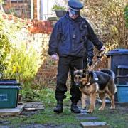 SEARCH: A police dog handler searches the alleyway behind Claudia Lawrence's home in York