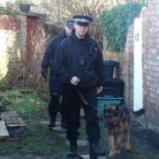 SEARCH: Specially trained officers searching the alley behind Claudia Lawrence's home