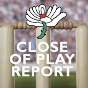 Bails set on cricket stumps, close up (25774887)