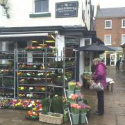 A Sunday shopper looks at bedding plants outside The Greengrocer in Thirsk Market Place
