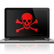 Skull and crossbones on a laptop screen.
