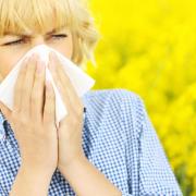 People suffering from hayfever are urged to avoid allergens, and are often recommended for drug treatment