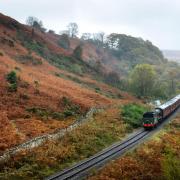 North Yorkshire Moors Railway  Picture: Wai Pang