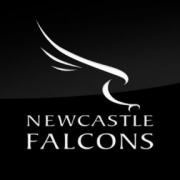 Yorkshire Carnegie vs Newcastle Falcons