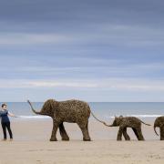 Never forget: Emma Stothard with her elephants on the beach between Sandsend and Whitby. Picture: Tony Bartholomew