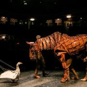 RETURN: War Horse returns to Sunderland Empire Pictured Joey the Horse and Goose the Goose Picture: SARAH CALDECOTT