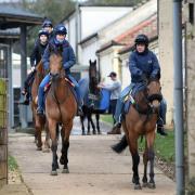 Stable staff at Kremlin House Stables, Newmarket.  Picture: Joe Giddens/PA Wire