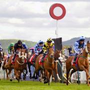 There are eight races at Redcar today