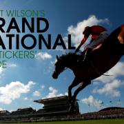 Scott Wilson's Grand National Pinstickers' Guide 2019