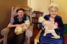Residents Raymond Gill and Betty Amos playing with the lambs
