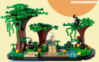 LEGO marks International Women's Day 2022 with a free Jane Goodall set (LEGO)