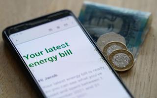 The Money Saving Expert explained the cheapest way to pay your energy bill as Ofgem confirmed the price cap rise (PA)