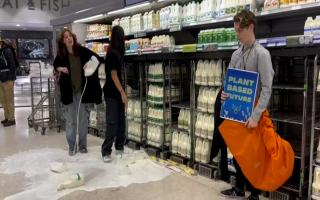 Animal Rebellion protestors pour milk on products and floors in shops across the UK (Animal Rebellion)
