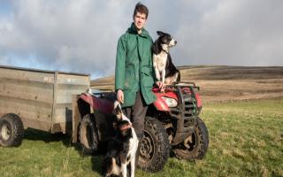 Will Dawson, an Ingleborough commoner with his dogs, Bette and Jill. Commoners in the Dales have restored ancient sheep pens to help with livestock gathers.