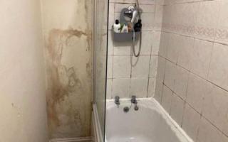 Images sent to MP Mary Kelly Foy show water damage and mould in a student house.