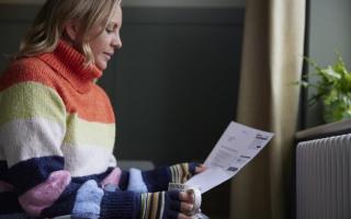 The National Grid Service has said their Demand Flexibility Service (DFS) will return this winter