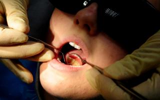 Refugees could be the key to solving shortages in NHS dentistry hitting the region, it has been claimed.
