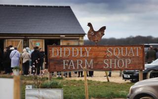 You can now buy produce from Diddly Squat Farm Shop online