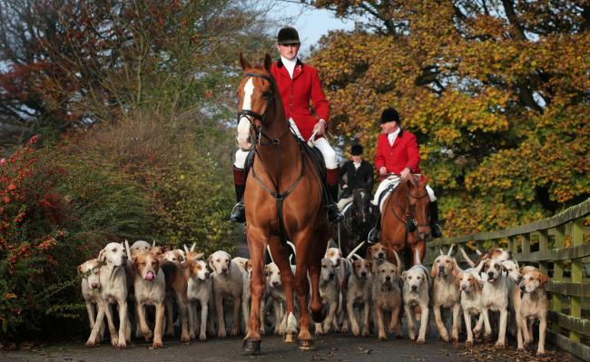 TRADITION: The Zetland Hunt headed out on one of the first hunts of the season near Woodland in Teesdale. Picture: SARAH CALDECOTT