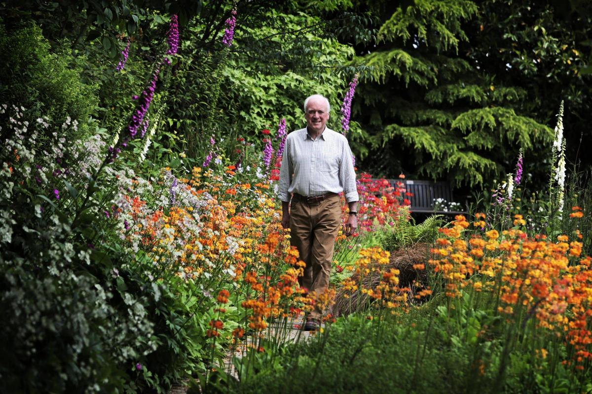 stunning guisborough garden open to the public for two days only