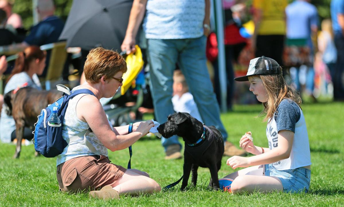 Darlington Dogs Trust Fun Day