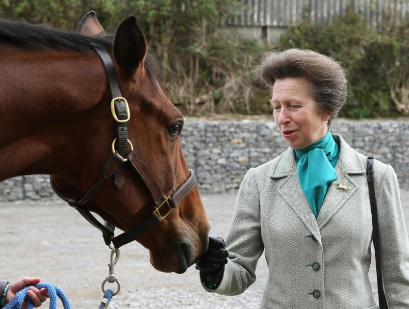 Princess Anne visits Labman and Hambleton Equine Clinic at Great Ayton 